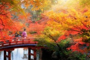 The 15 breathtaking view locations of autumn leaves in Kyoto 2018!